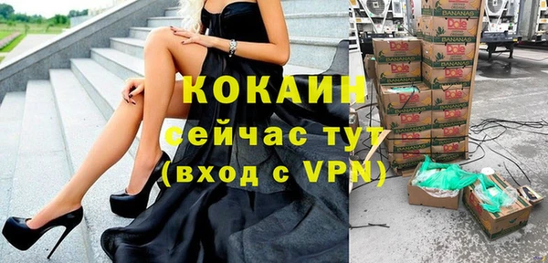 прущие грибы Болохово