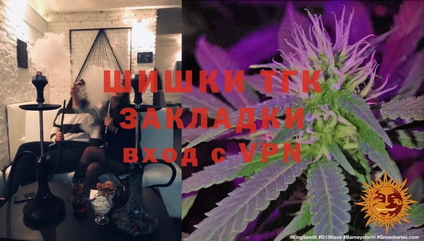 герыч Болотное