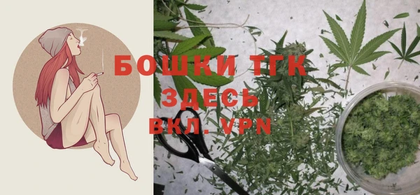ГАЛЛЮЦИНОГЕННЫЕ ГРИБЫ Новокубанск