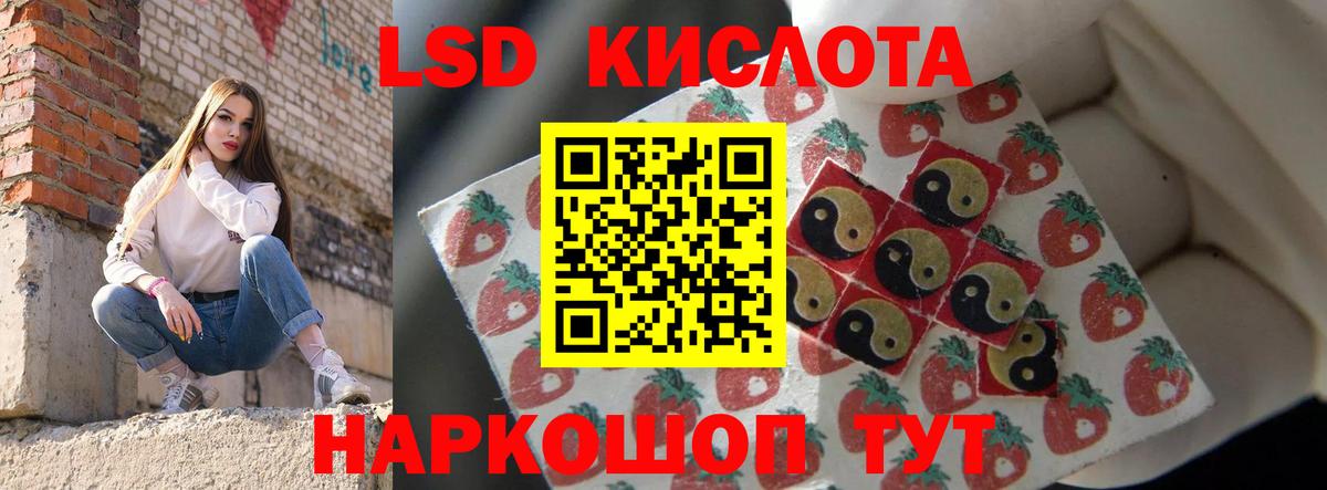 Лсд 25 экстази кислота  Вход с VPN  Бердск  ЛСД экстази  ЛСД экстази ecstasy 