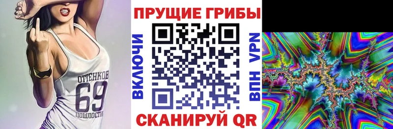 Псилоцибиновые грибы Cubensis  Бердск 