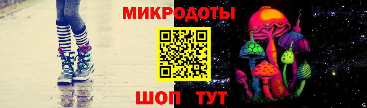 Псилоцибиновые грибы Psilocybine cubensis Бердск